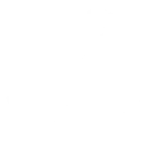 Employment policy advisory and labour market systems development work in Bolivia within a United Nations and multilateral context