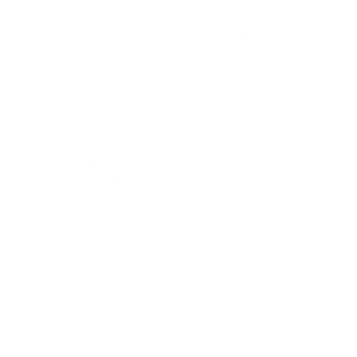 Employment policy advisory and labour market systems development work in Nigeria within a United Nations and multilateral context